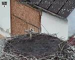 Capi_Dubne_20250803_105502.jpg