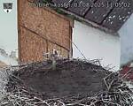 Capi_Dubne_20250803_110502.jpg