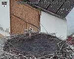 Capi_Dubne_20250803_111503.jpg