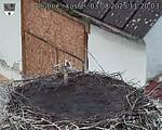 Capi_Dubne_20250803_112004.jpg