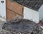 Capi_Dubne_20250803_120502.jpg
