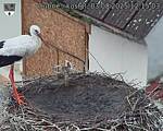 Capi_Dubne_20250803_121503.jpg