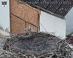 Capi_Dubne_20250803_130502.jpg