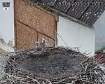 Capi_Dubne_20250803_131503.jpg