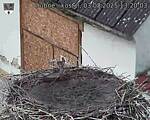 Capi_Dubne_20250803_132003.jpg