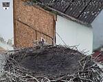 Capi_Dubne_20250803_134503.jpg