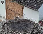 Capi_Dubne_20250803_140004.jpg