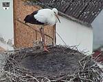 Capi_Dubne_20250803_140503.jpg