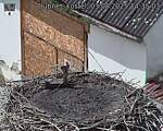 Capi_Dubne_20250803_143503.jpg