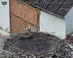 Capi_Dubne_20250803_144502.jpg