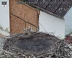 Capi_Dubne_20250803_150503.jpg