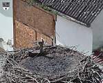 Capi_Dubne_20250803_152003.jpg