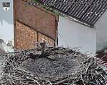Capi_Dubne_20250803_153003.jpg