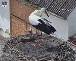 Capi_Dubne_20250803_153503.jpg