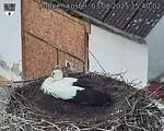 Capi_Dubne_20250803_154002.jpg