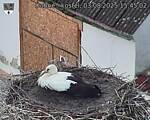 Capi_Dubne_20250803_154502.jpg