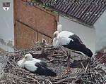 Capi_Dubne_20250803_161003.jpg