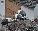 Capi_Dubne_20250803_163503.jpg