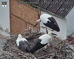 Capi_Dubne_20250803_165003.jpg