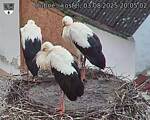 Capi_Dubne_20250803_200502.jpg
