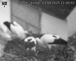 Capi_Dubne_20250803_210002.jpg
