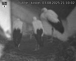 Capi_Dubne_20250803_211002.jpg