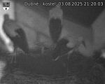 Capi_Dubne_20250803_212003.jpg