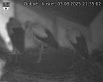Capi_Dubne_20250803_213502.jpg