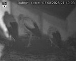 Capi_Dubne_20250803_214003.jpg