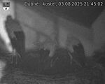 Capi_Dubne_20250803_214502.jpg