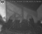 Capi_Dubne_20250803_215003.jpg