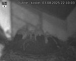 Capi_Dubne_20250803_221003.jpg