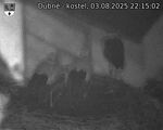 Capi_Dubne_20250803_221502.jpg