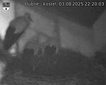 Capi_Dubne_20250803_222003.jpg