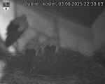 Capi_Dubne_20250803_223003.jpg