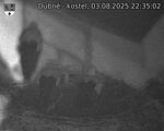 Capi_Dubne_20250803_223502.jpg