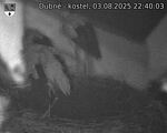Capi_Dubne_20250803_224003.jpg