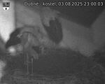 Capi_Dubne_20250803_230003.jpg