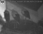 Capi_Dubne_20250803_231002.jpg