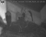 Capi_Dubne_20250803_231503.jpg
