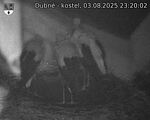 Capi_Dubne_20250803_232002.jpg