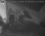 Capi_Dubne_20250803_233002.jpg