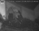 Capi_Dubne_20250803_234002.jpg