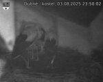 Capi_Dubne_20250803_235002.jpg