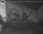 Capi_Dubne_20250803_235502.jpg