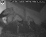 Capi_Dubne_20250804_000002.jpg