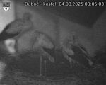Capi_Dubne_20250804_000503.jpg