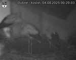 Capi_Dubne_20250804_002003.jpg