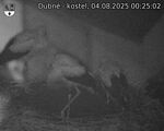 Capi_Dubne_20250804_002502.jpg