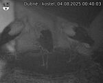 Capi_Dubne_20250804_004003.jpg